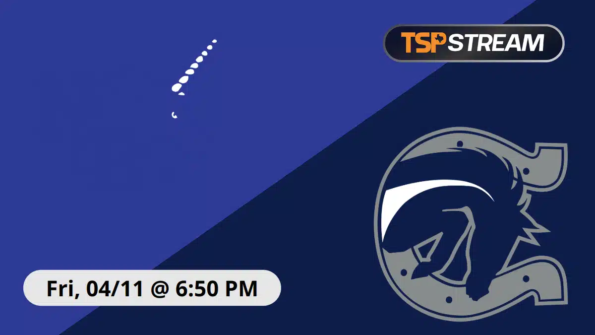 New Braunfels vs Boerne Champion - Live High School Baseball on TSP